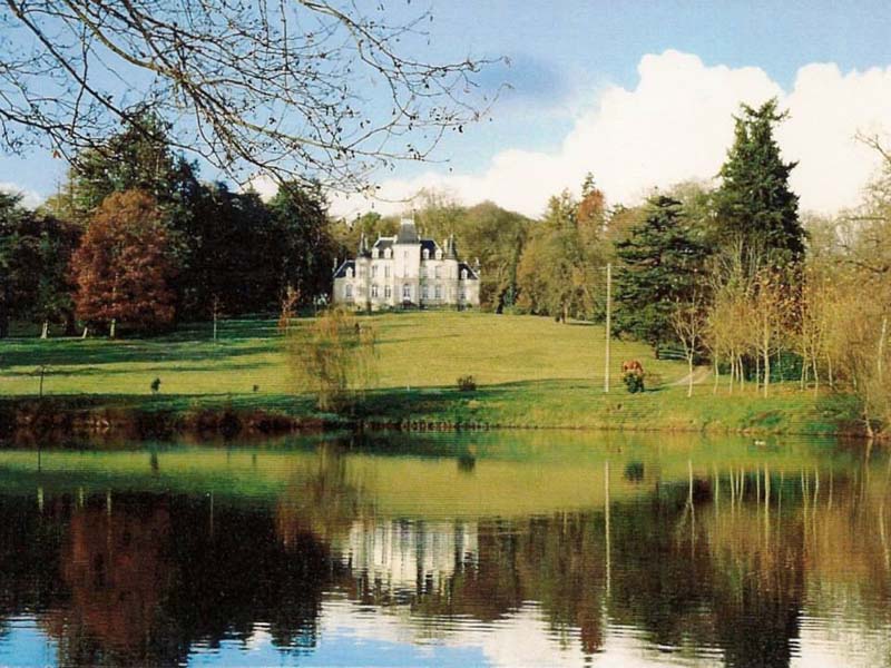 Château de Fontenaille_53500 SAINT-PIERRE-DES-LANDES_10